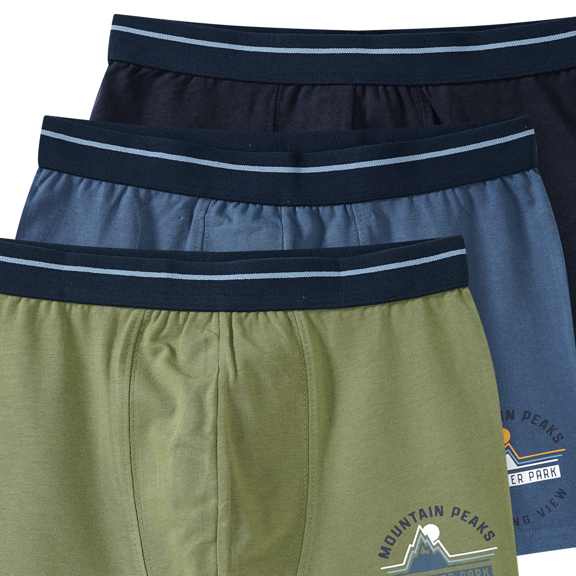 3 Jungen Boxer mit Webbund