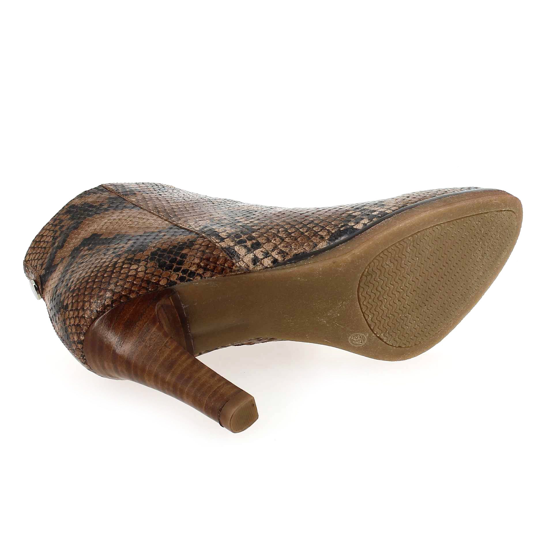 Janie Philip  MAX - Camel Python