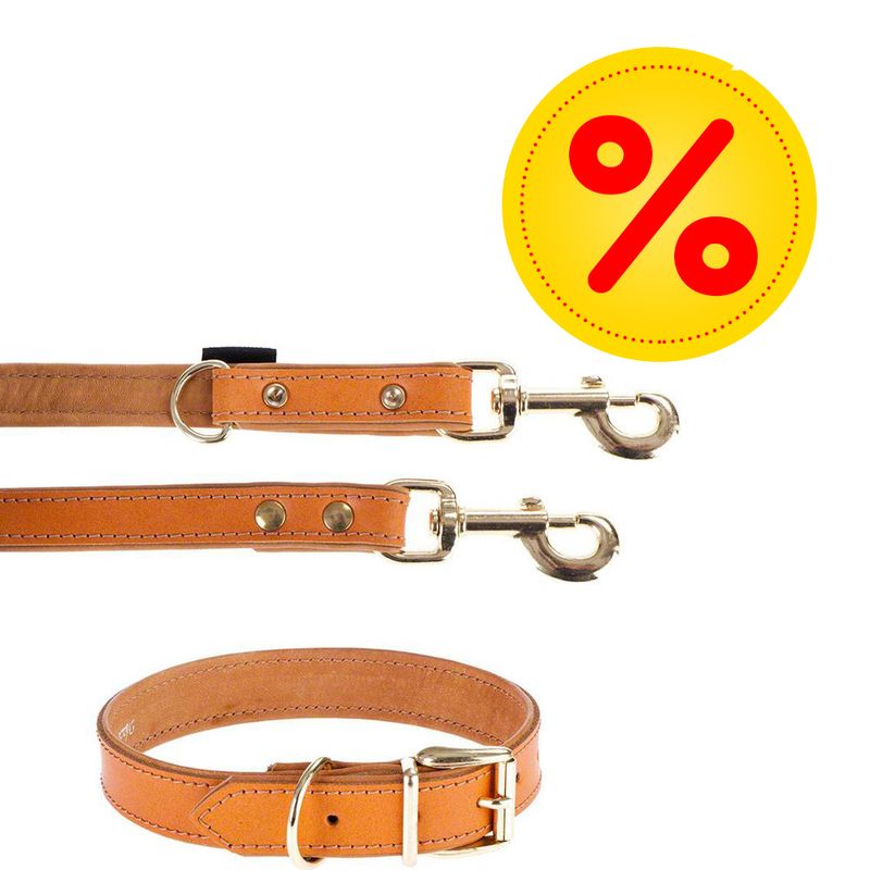 Sparset Heim Lederhalsband & Vorführleine Buffalo, cognac % bei bitiba.de