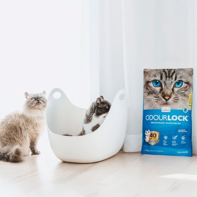 ODOURLOCK Katzenstreu Parfümfrei