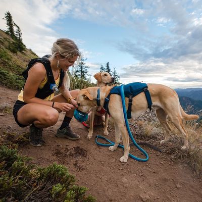 Ruffwear Switchbak Harness, Blue Moon