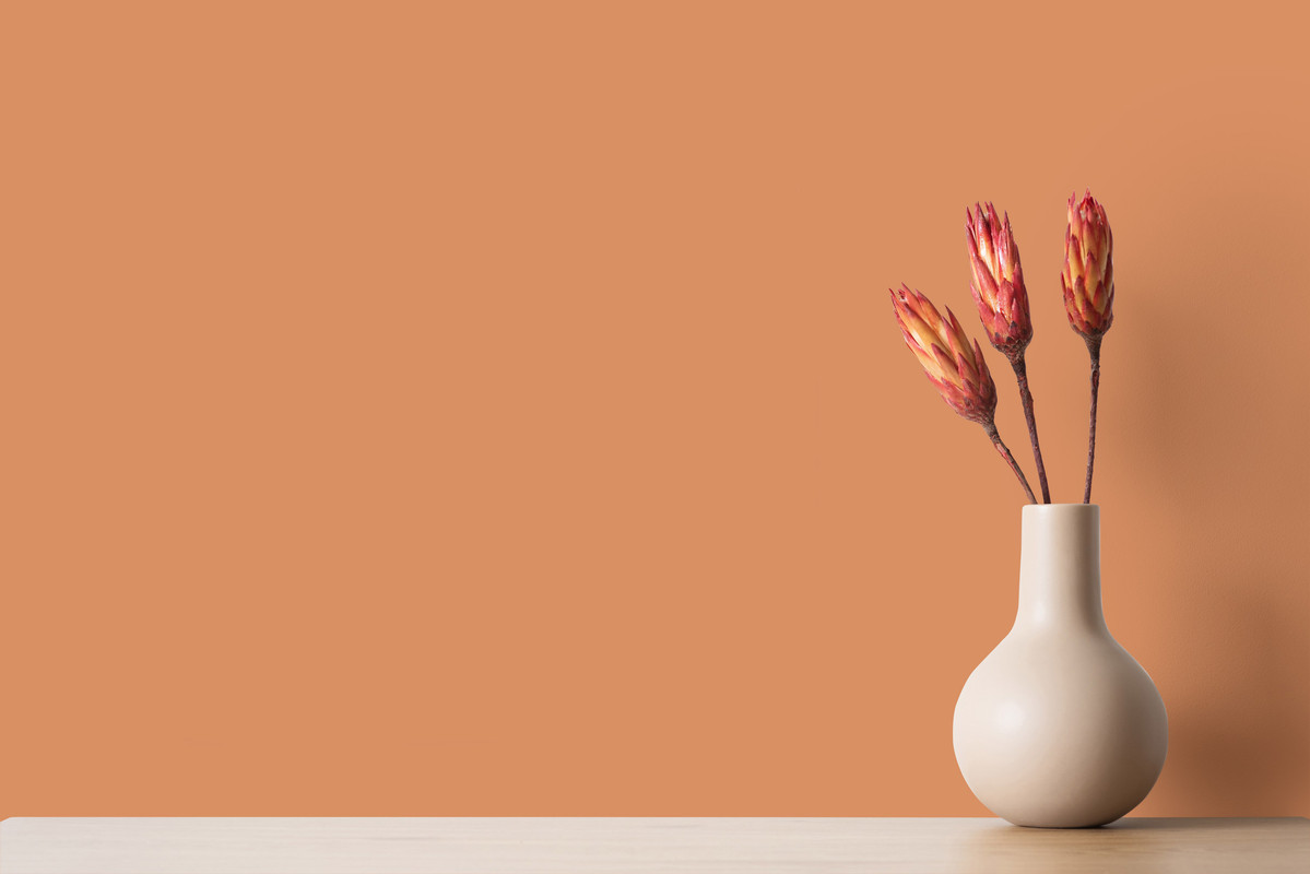 AS Creation A.S. Création - Wandfarbe Orange 