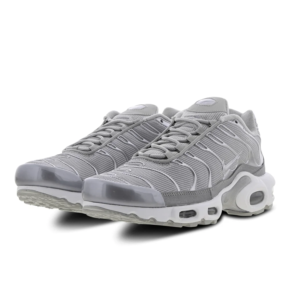 Nike Air Max Plus FJ1012-095 / grau