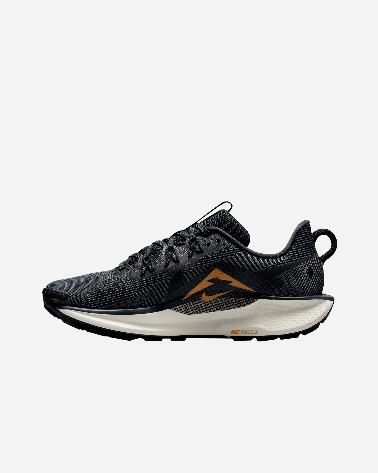 Scarpe Trail Nike Pegasus Trail 5 W DV3865-006
