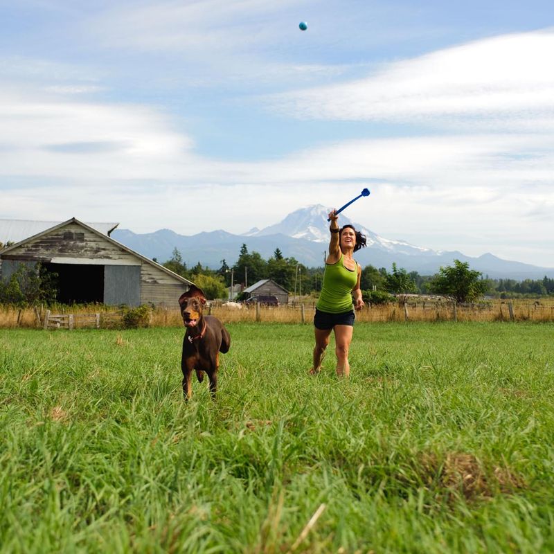 Chuckit! Ball Launcher Sport zu TOP-Preisen % | bitiba