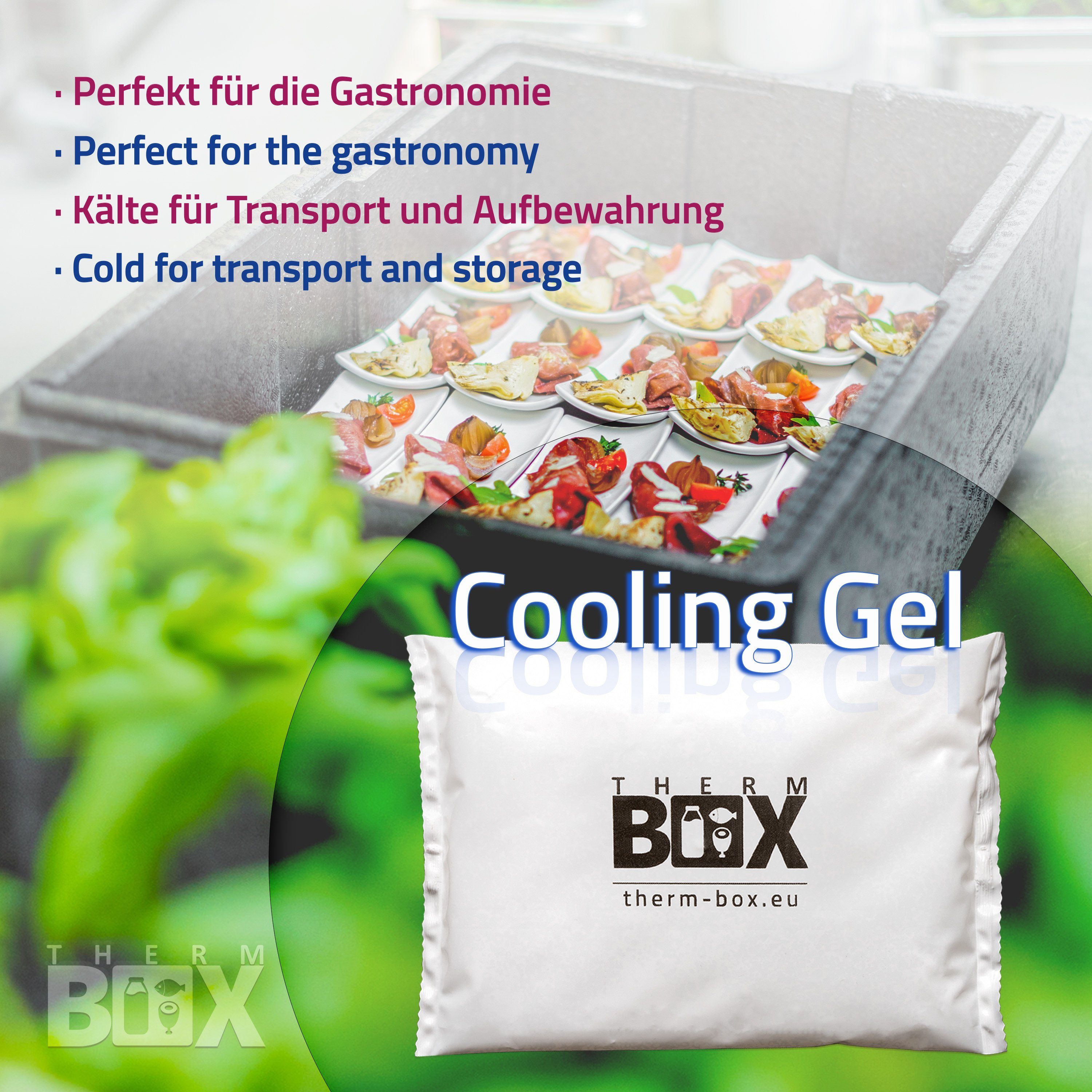 THERM-BOX Kühlakku Profi Kühlakku für Kühlbox, Groß 450g Wiederverwendbar Kühlpad Kühlpack Kühlbeutel Kühlkissen
