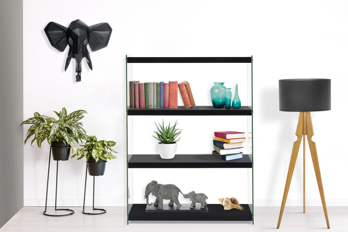 Kayoom Regal Elementary 125 Schwarz