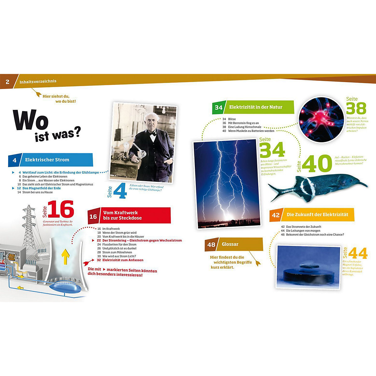WAS IST WAS Elektrizität, Band 24