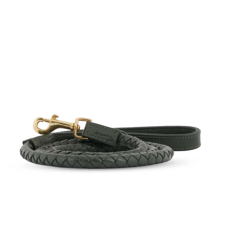 William Walker Hundeleinen William Walker Hundeleine Twisted Dark Moss S-L