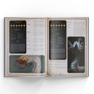 Dark Souls RPG: The Tome of Strange Beings (EN)