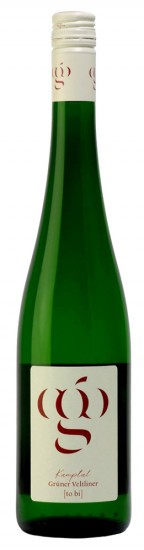 2021 Grüner Veltliner [to bi] Kamptal DAC trocken Bio - Bio Weingut Gruber 43