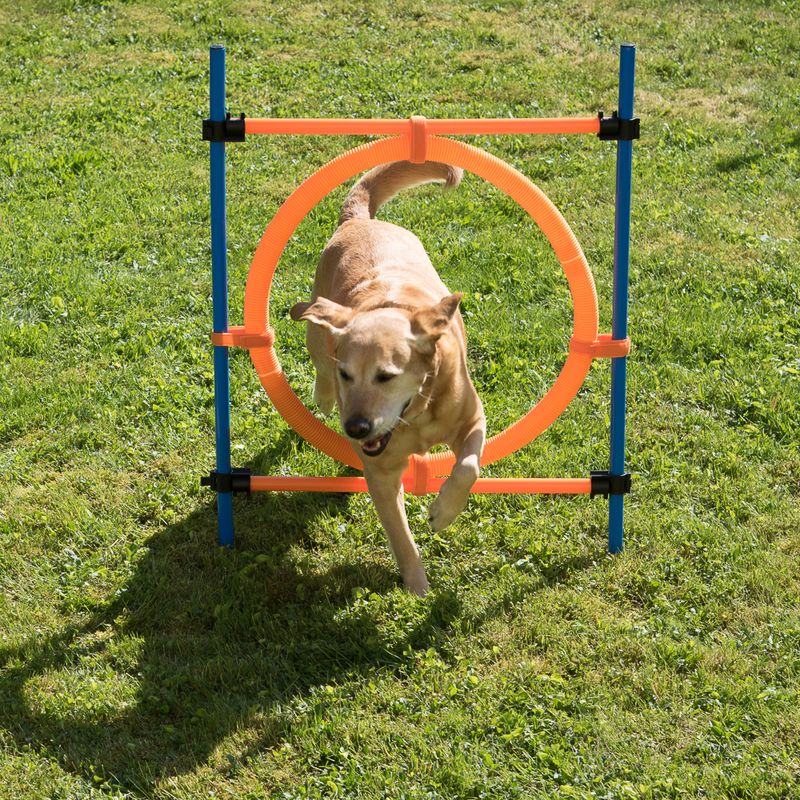 Agility Fun & Sport Sprungring zu TOP-Preisen