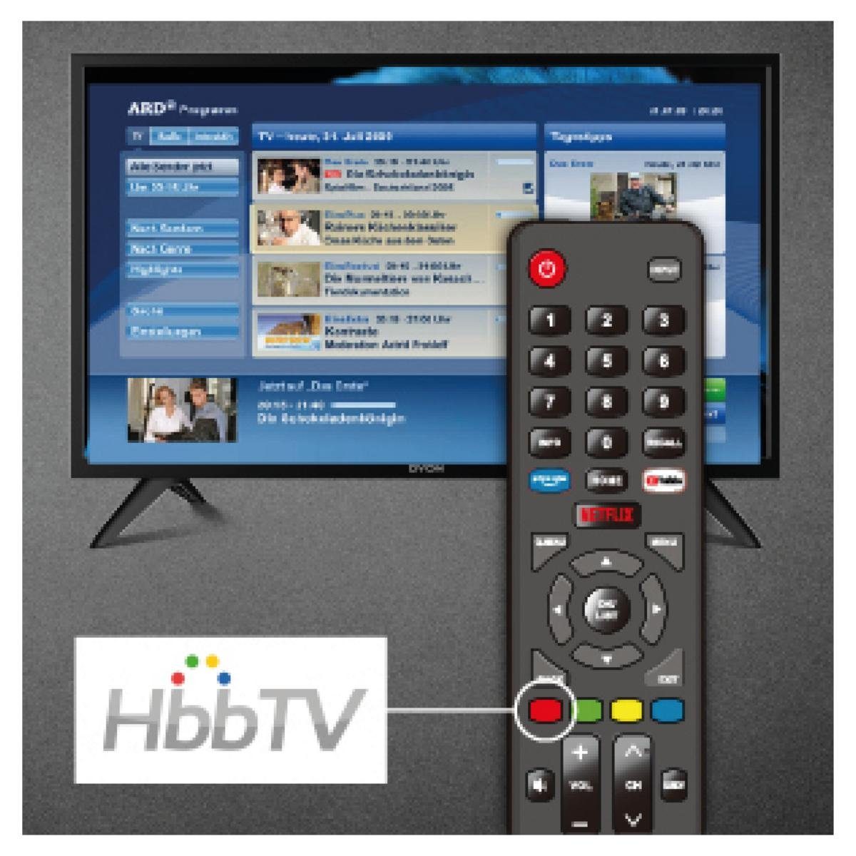 Dyon SMART 24 XT V3 LED-Fernseher (60 cm/24 Zoll, HD, Smart-TV)