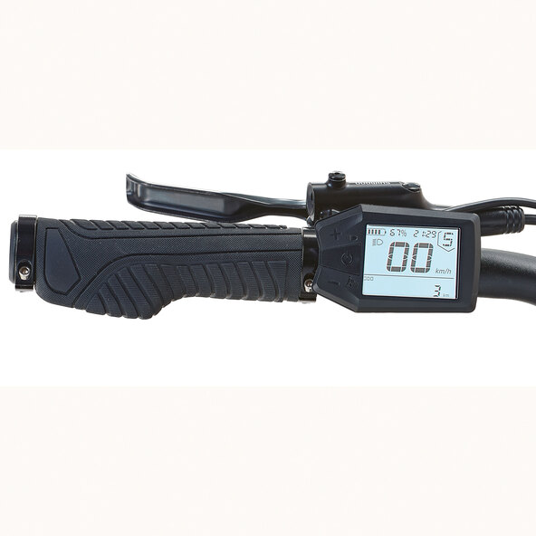 Trekking E-Bike Entdecker 2.0, Herren