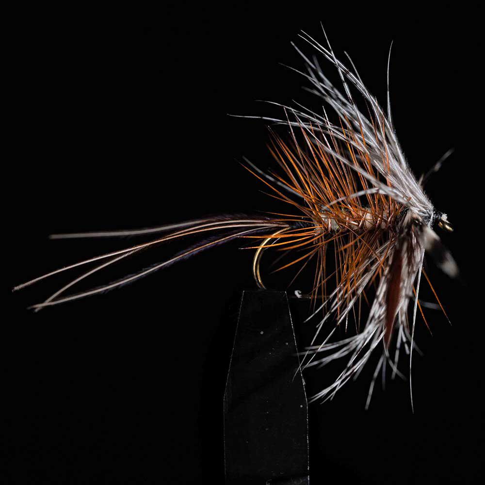 Ephemeral JMC UB H12 (x3)