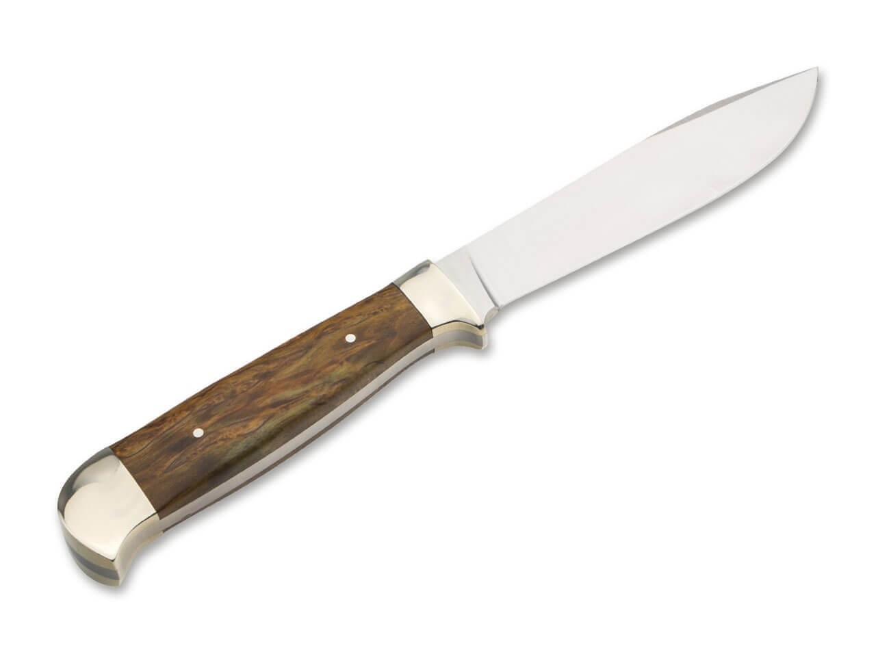 Försternicker Maserbirke Braun