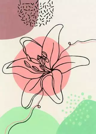 CreArt Florale Linien - Malen nach Zahlen für Erwachsene