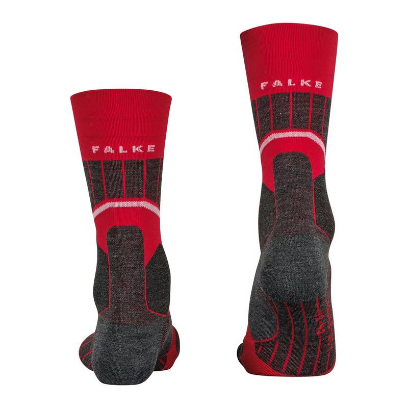Falke SC1 Skisocken Herren