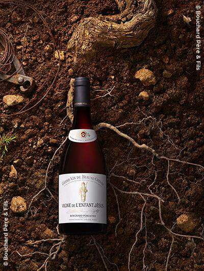 Bouchard Père & Fils : Beaune 1er cru 