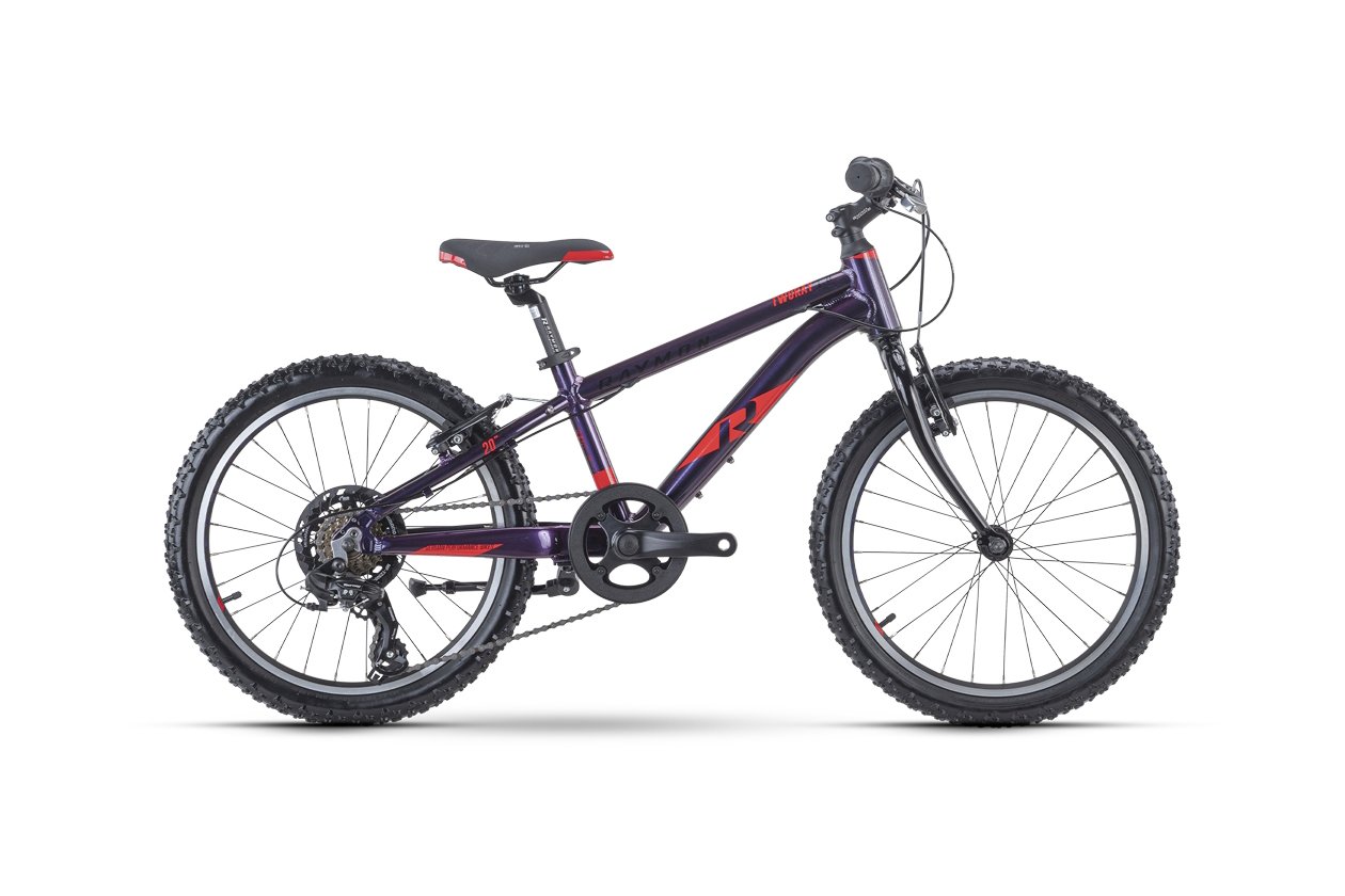 Raymon TwoRay 1.0 - 2023 - 20 Zoll - Diamant