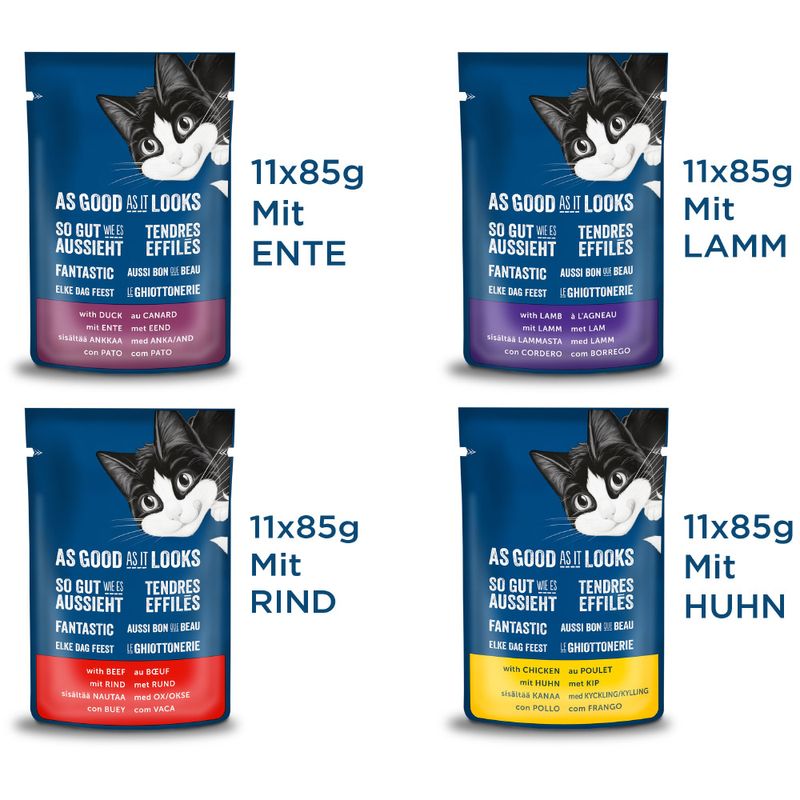 Sparpaket Felix ''So gut wie es aussieht'' 132 x 85 g | bitiba %