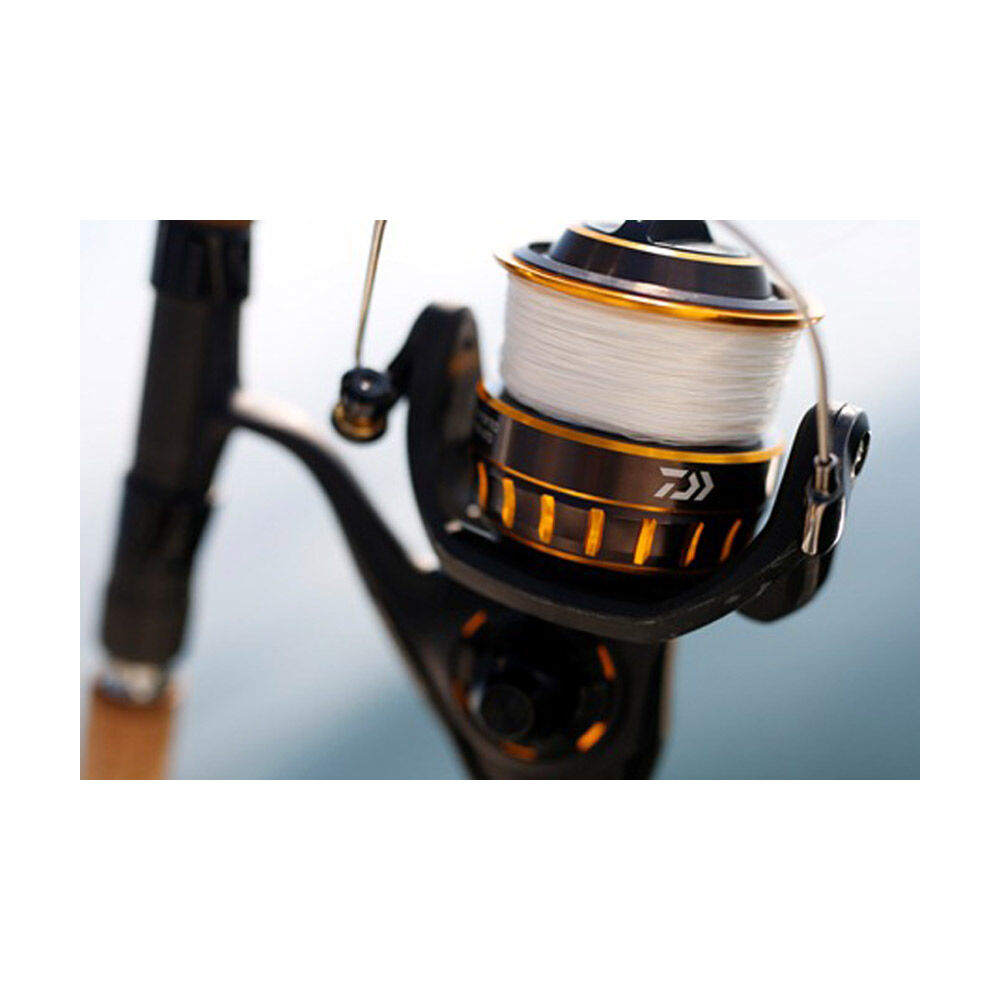 Moulinet Daiwa BG Black Gold 6500