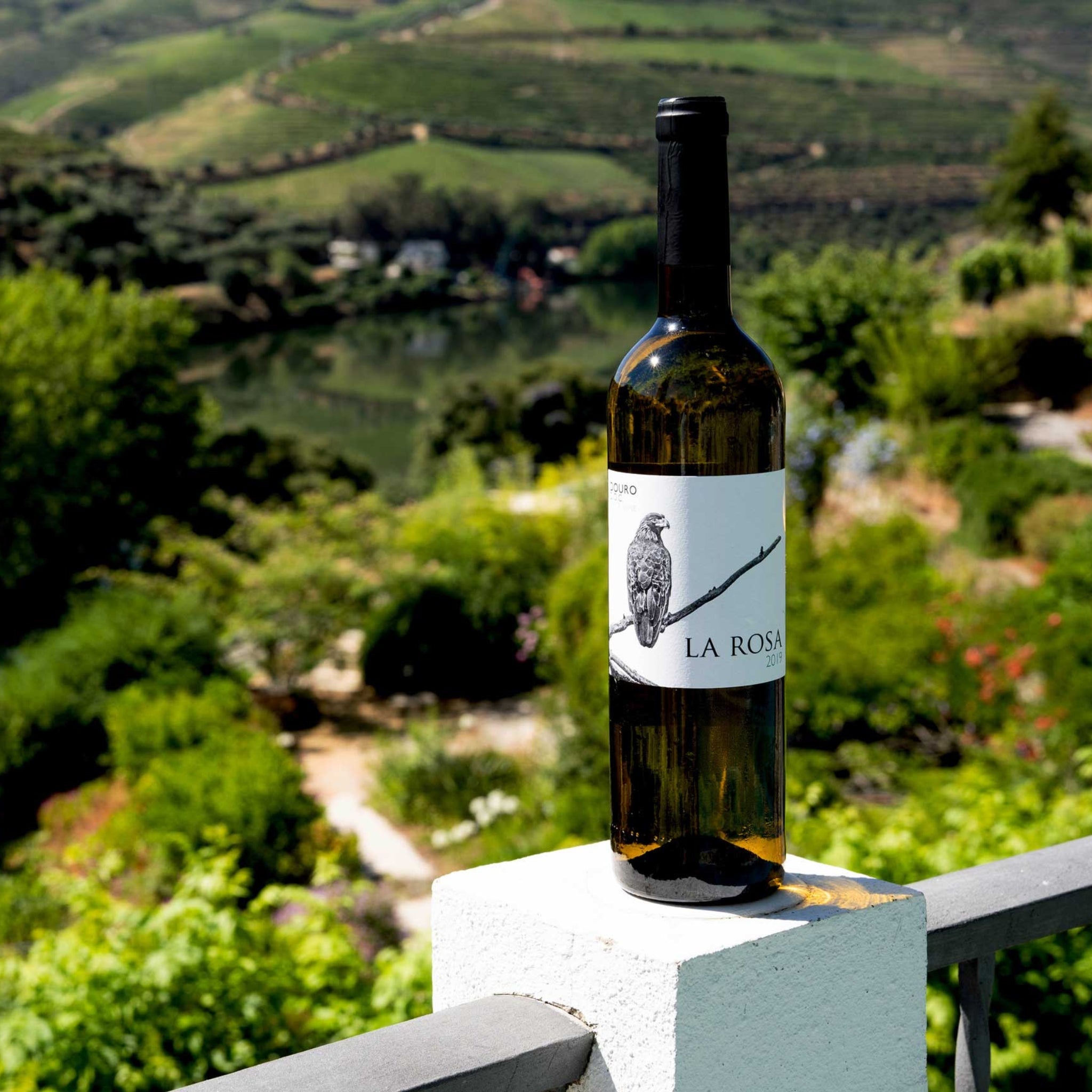 QUINTA DE LA ROSA WEISSWEIN 2022