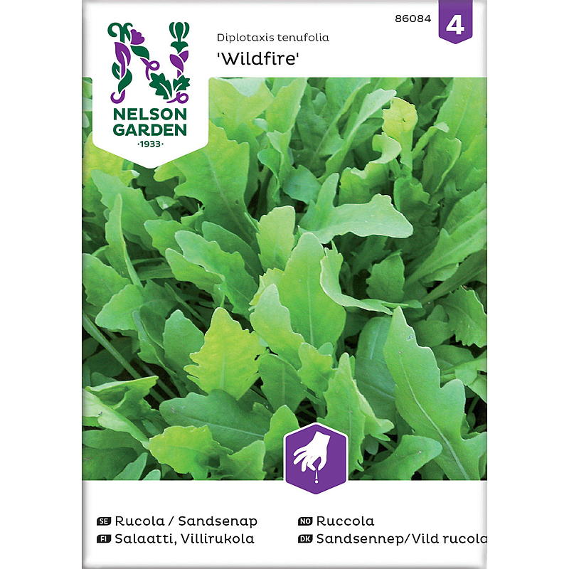 Nelson garden Frø Sandsennep Rucola-Type, Wildfire