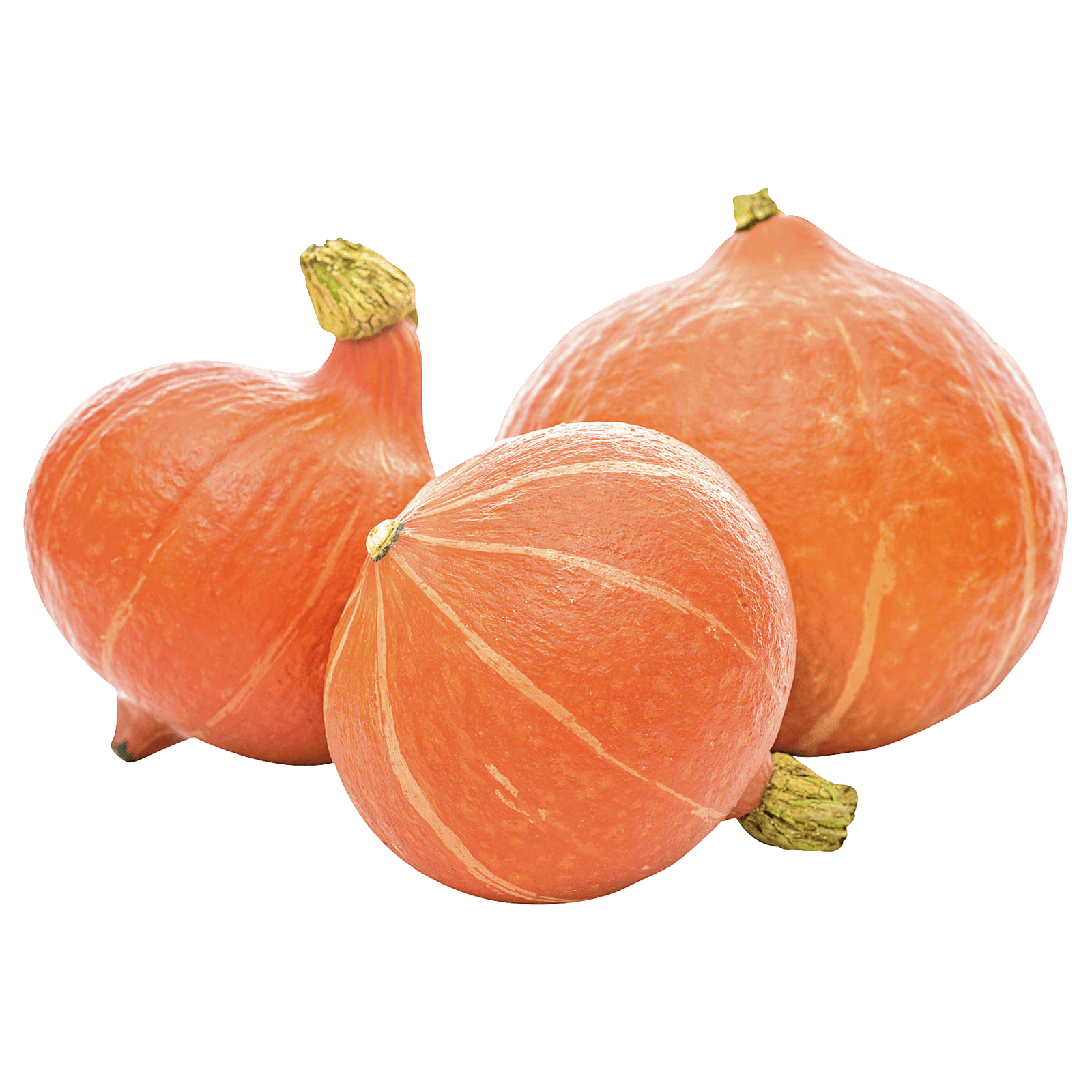 REWE Bio Hokkaido Kürbis ca. 1kg