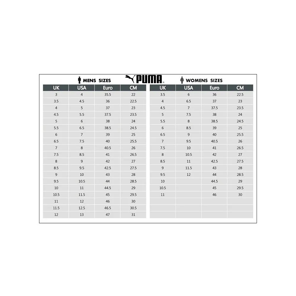 PUMA BMW MMS RDG CAT 307306-01 / schwarz