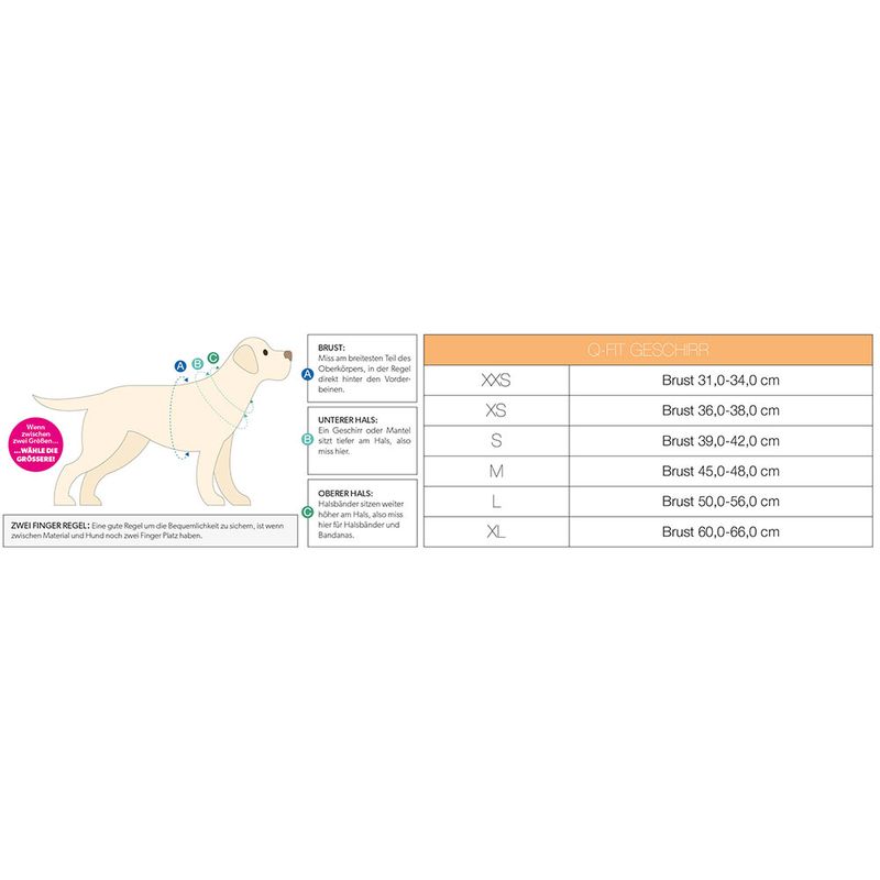 Max & Molly Q-Fit G﻿eschirr Matrix Pink zu TOP-Preisen | bitiba %