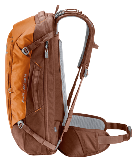AViANT Access 38
