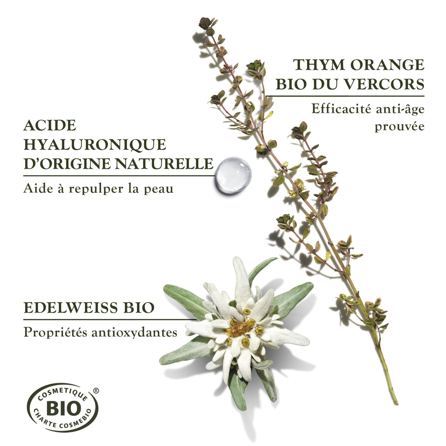 Sanoflore Reines