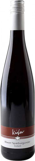 2018 Blauer Spätburgunder feinherb - Weingut Jonas Kiefer