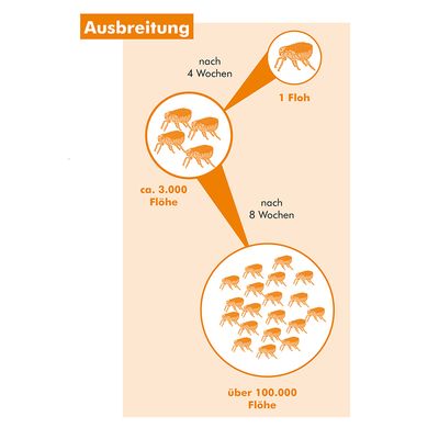 Ardap Care ARDAP Fogger Ungeziefer Vernebler 2 x 30 m²