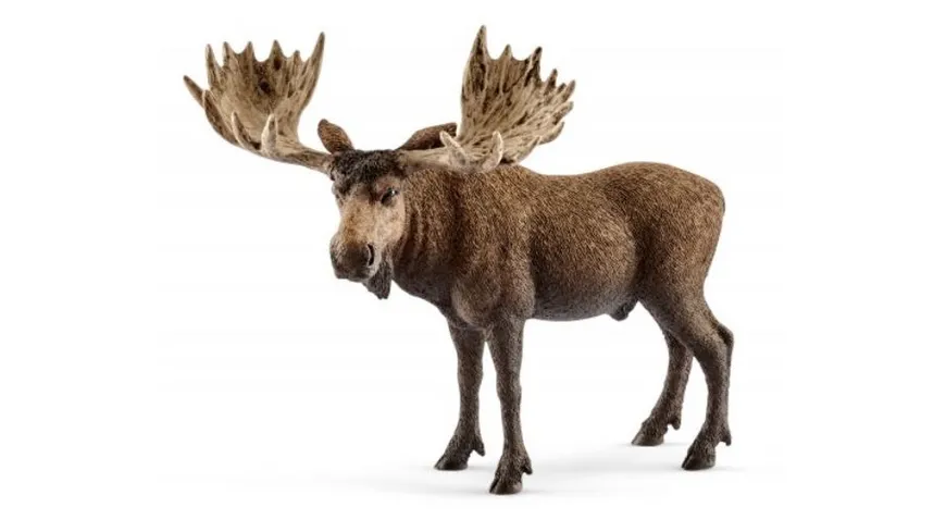 Schleich 14781 - Wild Life - Elch Bulle