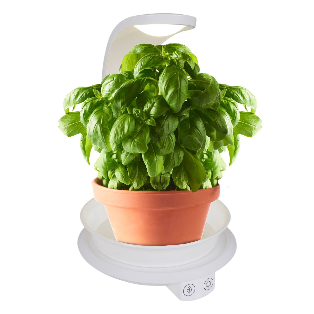 Näve Leuchten LED Pflanzen-Tischleuchte h:24cm