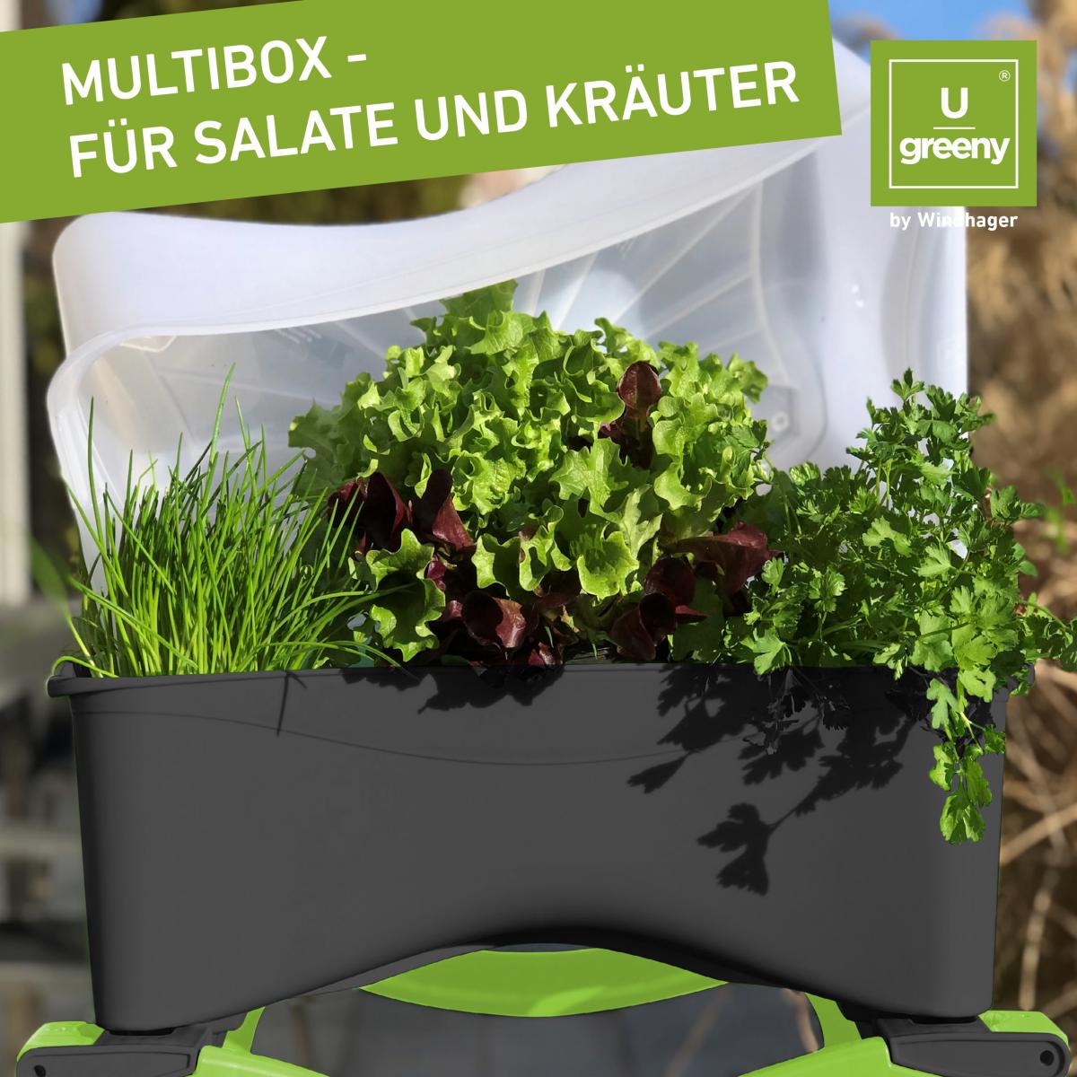 Windhager U-greeny Pflanzbox Multibox Stein