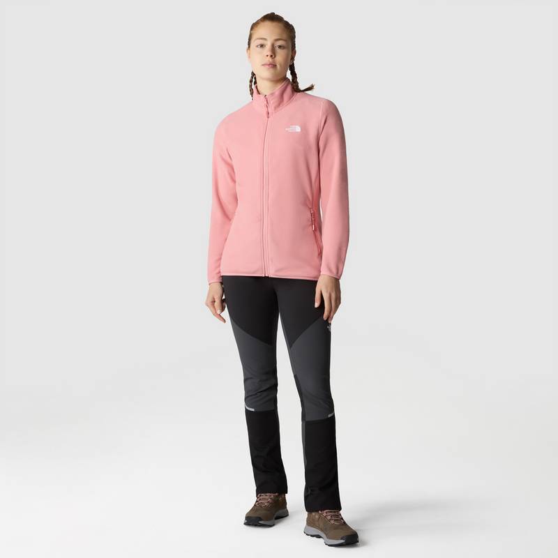 The North Face 100 GLACIER Fleecejacke Damen