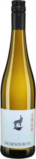 2022 Sauvignon Blanc trocken - Weingut Burnikel
