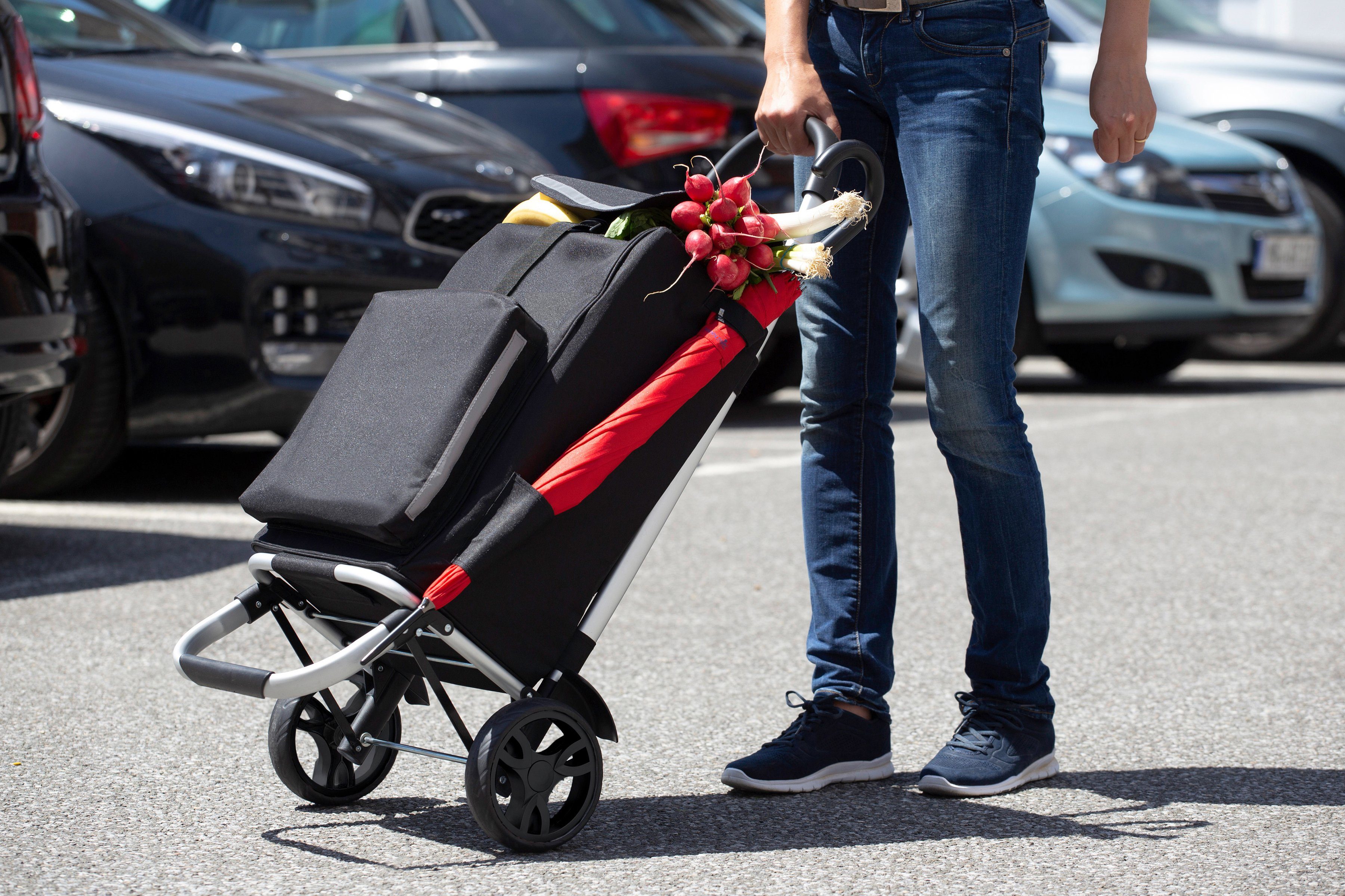 meister Einkaufstrolley 2 in 1, 59 l, mit Kühltasche