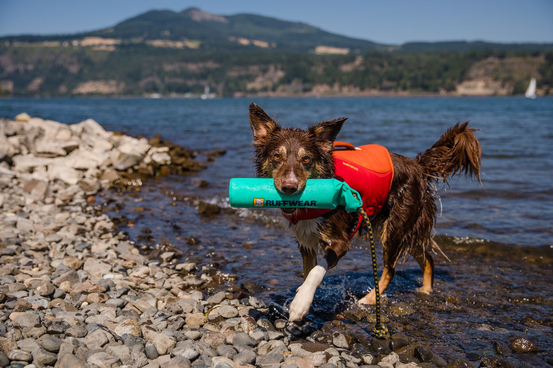 Ruffwear Wasserspielzeug Ruffwear Lunker™ Spielzeug blau/ türkis