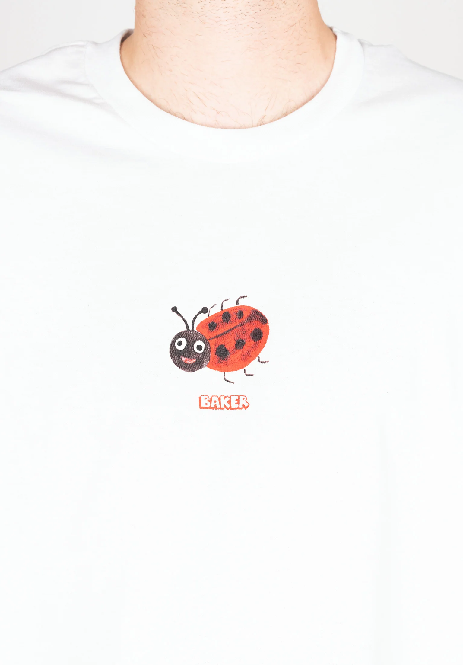 Ladybug
