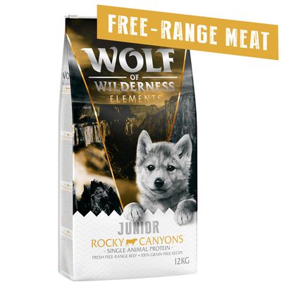 Wolf of Wilderness JUNIOR 