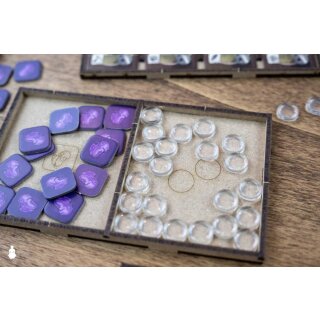 Darwin’s Journey - Organizer (base game or with Fireland expansion)