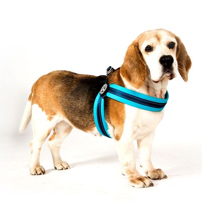 Max & Molly Q-Fit G﻿eschirr Matrix Himmelblau