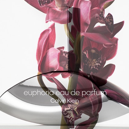 Calvin Klein Euphoria For Women Eau de Parfum Spray
