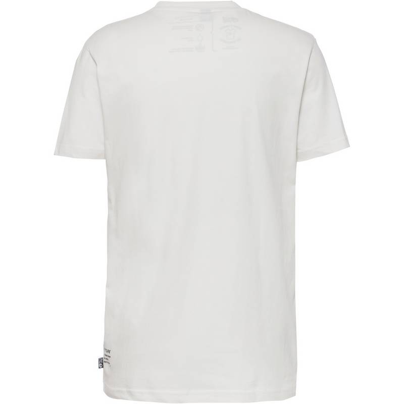 Picture D&S T-Shirt Herren