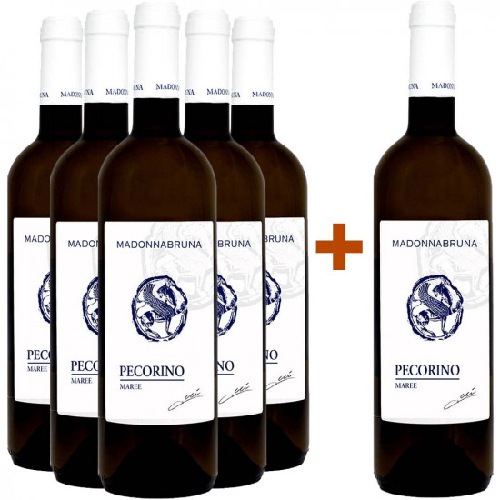 5+1 Paket Maree Falerio Pecorino DOC - MADONNABRUNA