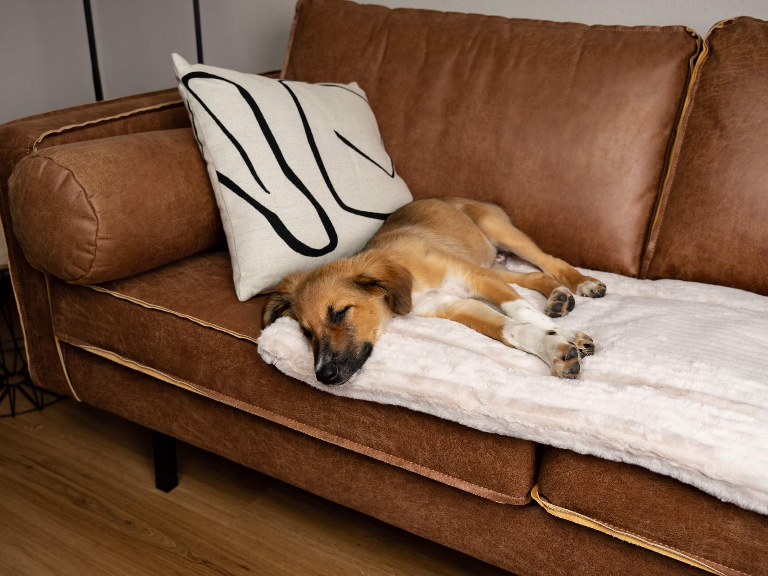 TrendPet Hundedecken TrendPet Harmony gefütterte Liegedecke creme M
